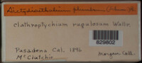 Image Associated With the Occurence